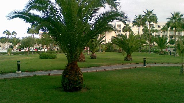 Grancanaria 2007-5.jpg